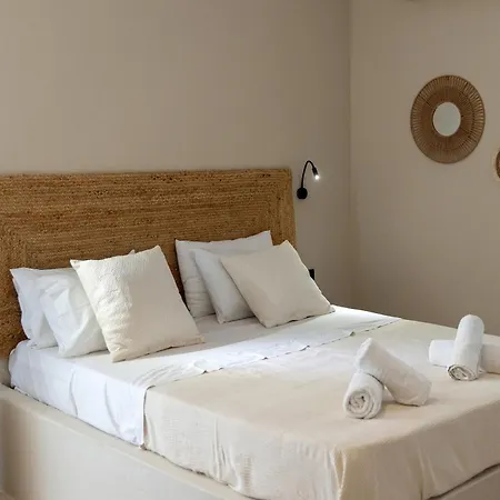 Noe Apartment Tinos
