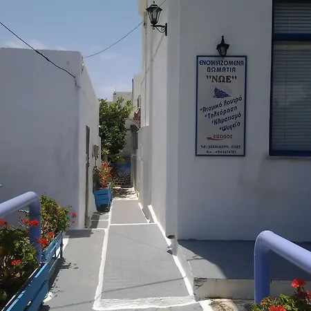 Noe In Center Of